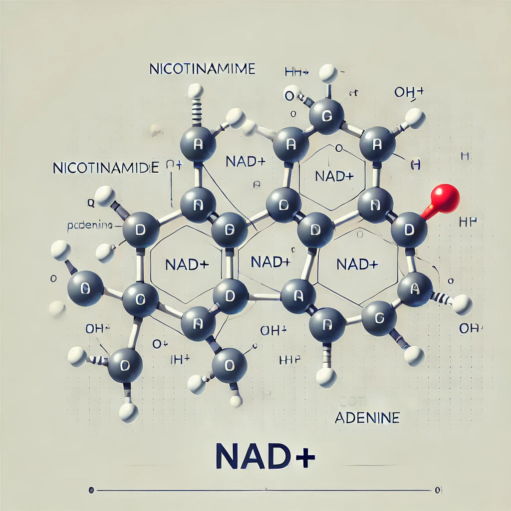 The Science Behind NAD+ and Its Precursors: Unlocking Cellular Health and Longevity